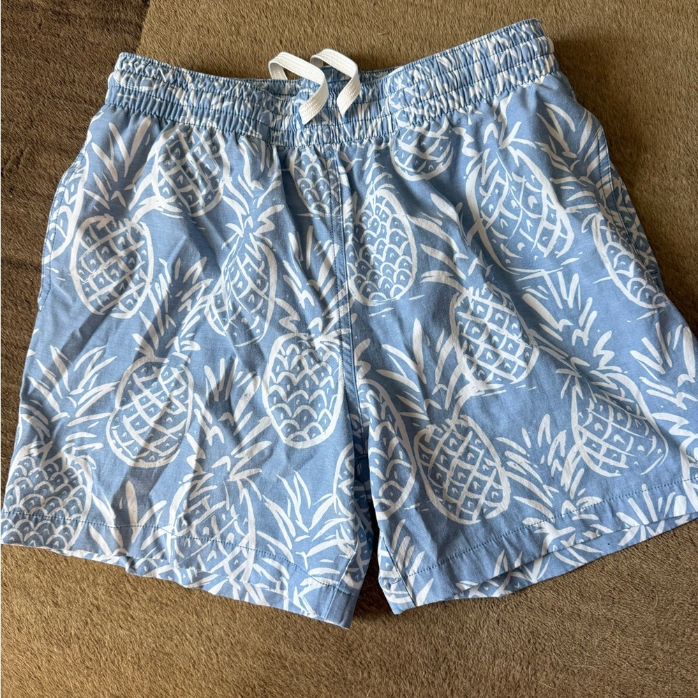 Chubbies Men’s “the pineapple sketches” Swim Shorts S